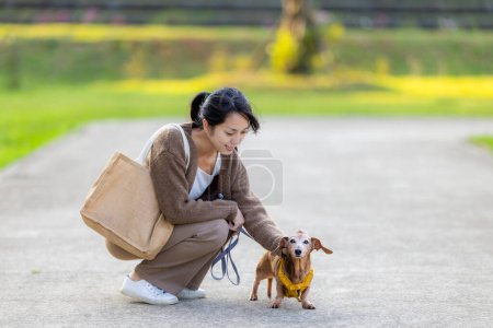 Téléchargez les photos : Femme sortir avec son chien - en image libre de droit