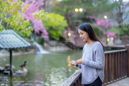 Téléchargez les photos : Femme nourrir le poisson carpe dans le jardin avec étang d'eau - en image libre de droit
