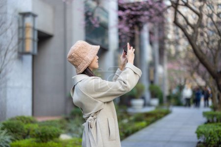 Téléchargez les photos : Femme utiliser un téléphone mobile pour prendre des photos en ville avec arbre sakura - en image libre de droit