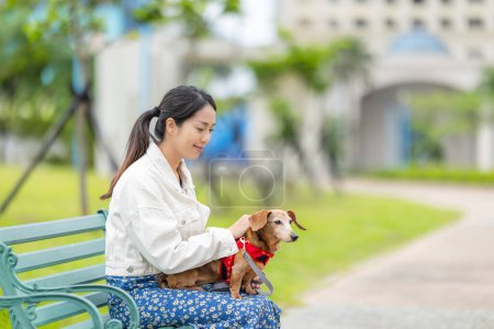 Photo for Woman go to the park and sit on the bench with her dachshund dog - Royalty Free Image