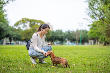 Téléchargez les photos : Femme nourrir son chien au parc - en image libre de droit