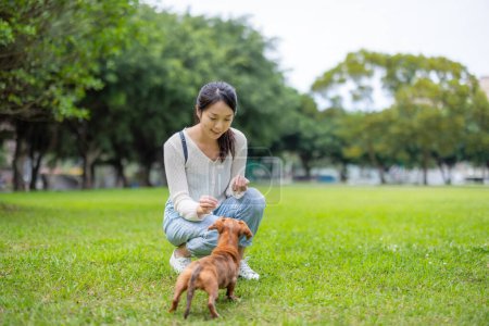 Téléchargez les photos : Femme nourrir son chien au parc - en image libre de droit