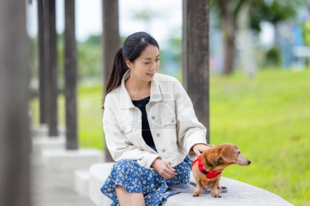 Téléchargez les photos : Femme aller au parc avec son teckel chien - en image libre de droit