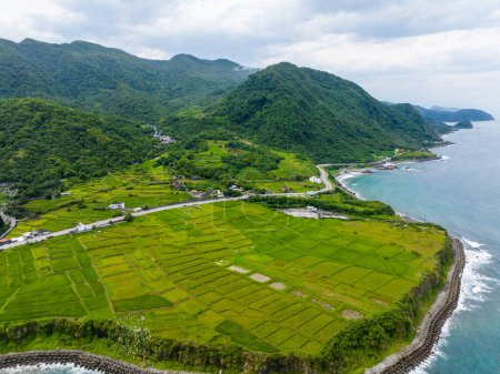 Campo de arroz Hualien de Taiwán sobre el mar en el municipio de Fengbin, Shitiping Coastal Stone Step Plain