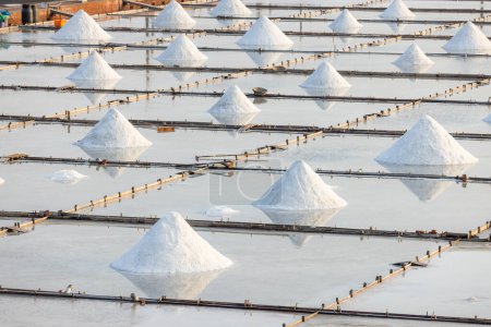 Téléchargez les photos : Sel dans la ferme de sel marin - en image libre de droit