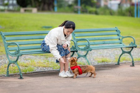 Téléchargez les photos : Femme nourrir son chien teckel au parc - en image libre de droit