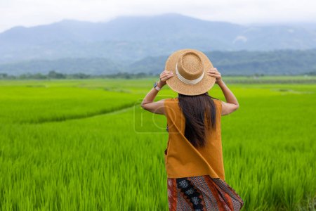 Téléchargez les photos : Voyage femme profiter de la vue sur le paysage rizicole à la campagne - en image libre de droit