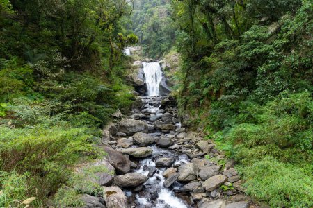 Téléchargez les photos : Beau paysage forestier avec cascade cascade - en image libre de droit