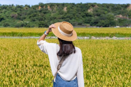 Téléchargez les photos : Femme touristique visite rizière paddy - en image libre de droit