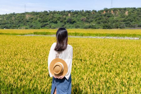 Téléchargez les photos : Femme touristique visite rizière paddy - en image libre de droit