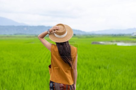 Photo for Travel woman enjoy the rice field scenery view in countryside - Royalty Free Image