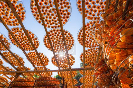 Foto de Producción de fruta de caqui seco bajo el sol en fábrica - Imagen libre de derechos