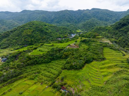 Téléchargez les photos : Taiwan rizière Hualien au-dessus de la mer dans le canton de Fengbin, Expédition de pierre côtière étape plaine - en image libre de droit