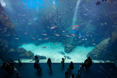 Foto de Taoyuan, Taiwán - 06 de julio de 2022: Xpark Aquarium en Taiwán - Imagen libre de derechos