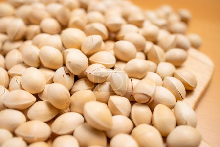 Téléchargez les photos : Fresh ginkgo seed nut close up - en image libre de droit