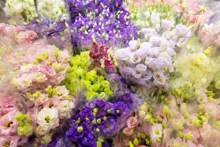Téléchargez les photos : Marché aux fleurs vend variété de fleurs - en image libre de droit