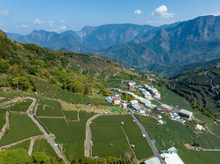 Foto de Vista aérea del campo en la montaña en Shizhuo Trails en Alishan de Taiwán - Imagen libre de derechos