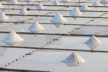 Photo for Salt Farm, salt pile in Tainan, Taiwan - Royalty Free Image