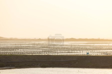 Téléchargez les photos : Salt Farm, pile de sel à Tainan au coucher du soleil, Taiwan - en image libre de droit