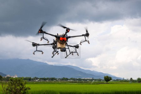 Foto de Agricultura drone granja volar para rociar fertilizante en los campos de arroz - Imagen libre de derechos
