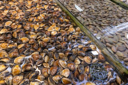Photo for Selling fresh clam in wet market - Royalty Free Image