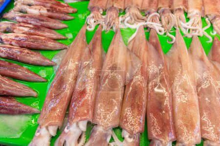 Foto de Venta de calamares frescos en el mercado húmedo - Imagen libre de derechos