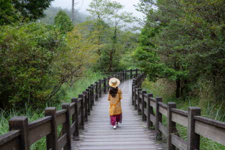 Foto de Mujer caminando por el bosque - Imagen libre de derechos