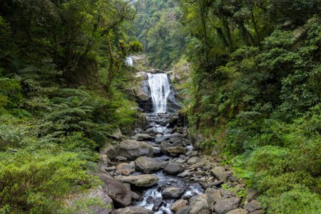 Téléchargez les photos : Chute d'eau forestière dans la zone nationale de loisirs forestiers neidong de taiwan - en image libre de droit