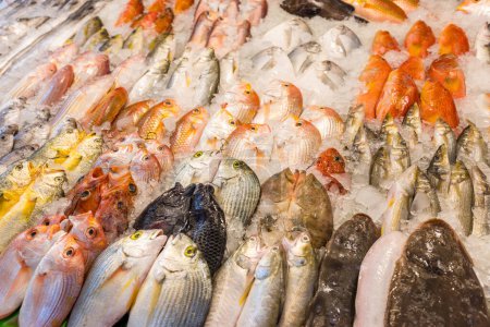 Photo for Fresh raw fish on ice at the fish market - Royalty Free Image