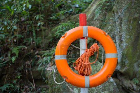 Photo for Life buoy in in the forest with river - Royalty Free Image