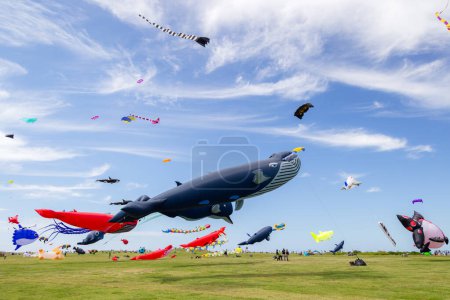 Photo for Hsinchu, Taiwan - 10 September 2023: Hsinchu city international kite festival at park - Royalty Free Image