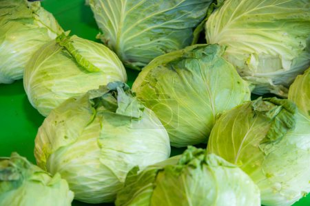 Photo for Cabbage sell in the store - Royalty Free Image