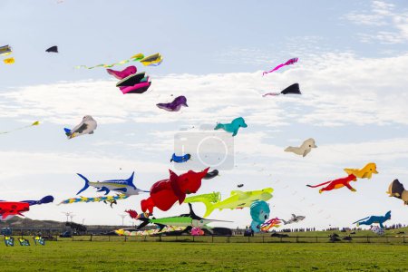 Photo for Hsinchu, Taiwan - 10 September 2023: Hsinchu city international kite festival at seaside park - Royalty Free Image