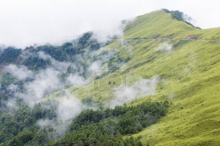 Téléchargez les photos : Foggy sur la montagne à Hehuanshan - en image libre de droit