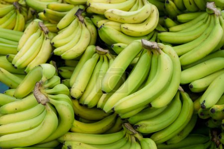 Foto de Venta de plátanos en el supermercado - Imagen libre de derechos