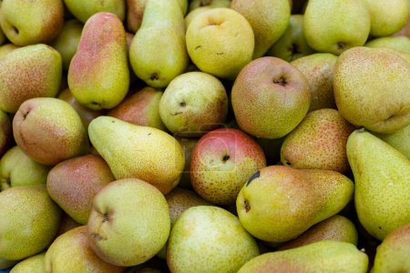 Photo for Group of pear in the supermarket - Royalty Free Image