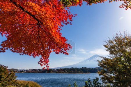 Téléchargez les photos : Montagne Fuji avec feuille rouge sur érable - en image libre de droit