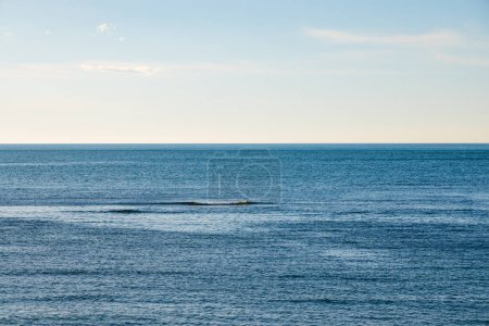 Téléchargez les photos : La mer bleue et le ciel - en image libre de droit