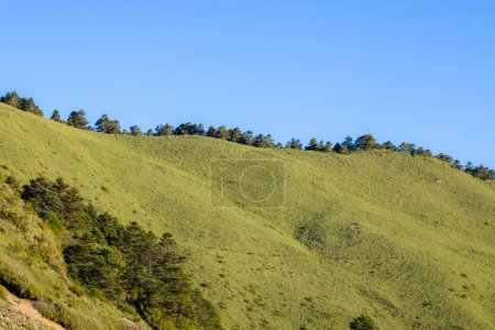 Photo for Greenery mountain with the blue sky - Royalty Free Image