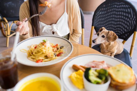Photo for Woman bring her dachshund at outdoor restaurant - Royalty Free Image