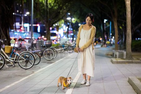 Photo for Woman go for a walk with her dog at night - Royalty Free Image