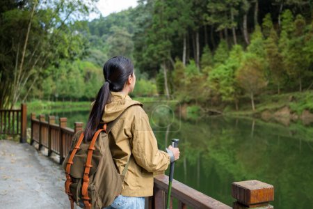 Téléchargez les photos : Femme faire de la randonnée avec son bâton de trekking dans la forêt - en image libre de droit
