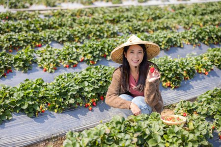 Téléchargez les photos : Femme visite la ferme de fraises - en image libre de droit