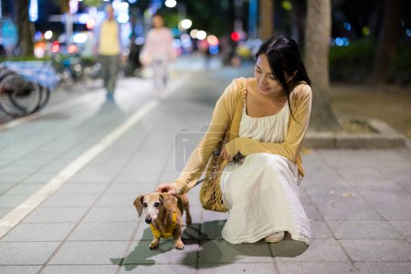 Téléchargez les photos : Femme aller faire une promenade avec son chien la nuit - en image libre de droit