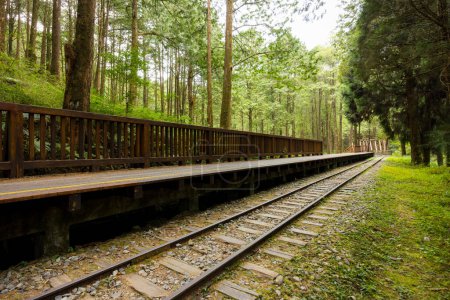 Photo for Train track in the alishan national forest recreation area - Royalty Free Image