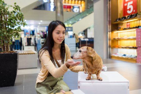 Téléchargez les photos : Femme sortir avec son chien teckel au centre commercial - en image libre de droit