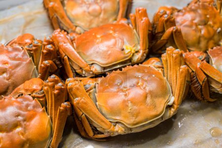Téléchargez les photos : Moufle de crabe chinois cuit sur l'assiette - en image libre de droit