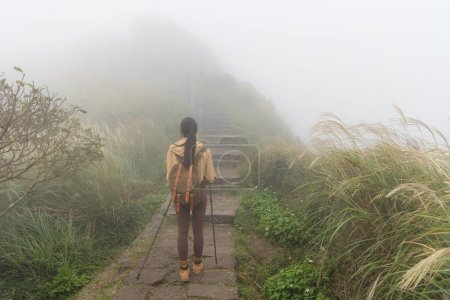 Téléchargez les photos : Femme faire de la randonnée avec l'aide de bâton de trekking - en image libre de droit