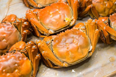 Photo for Cooked Chinese mitten crab seafood - Royalty Free Image
