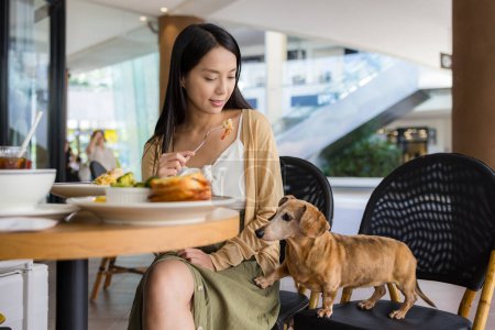 Foto de Mujer ir a restaurante con su perro en el centro comercial - Imagen libre de derechos